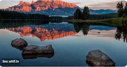 Next-level outdoor gaming and hunting adventures streaming on WHFF.TV