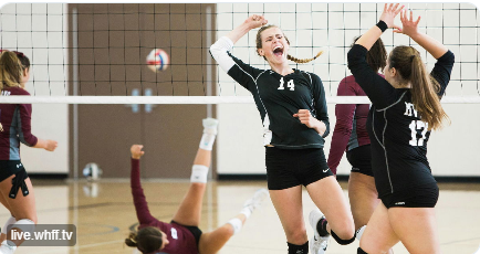 Empowering queer athletes through sports psychology and support