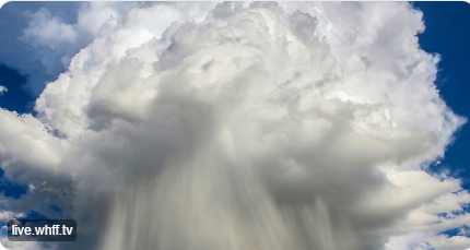 Weather station promoting natural living and wellness